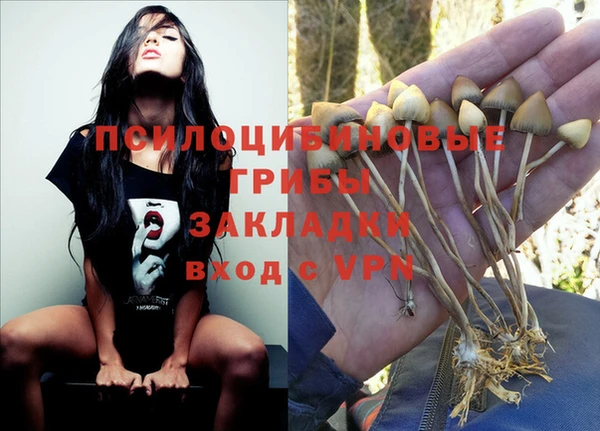 каннабис Бородино