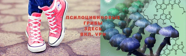 каннабис Бородино